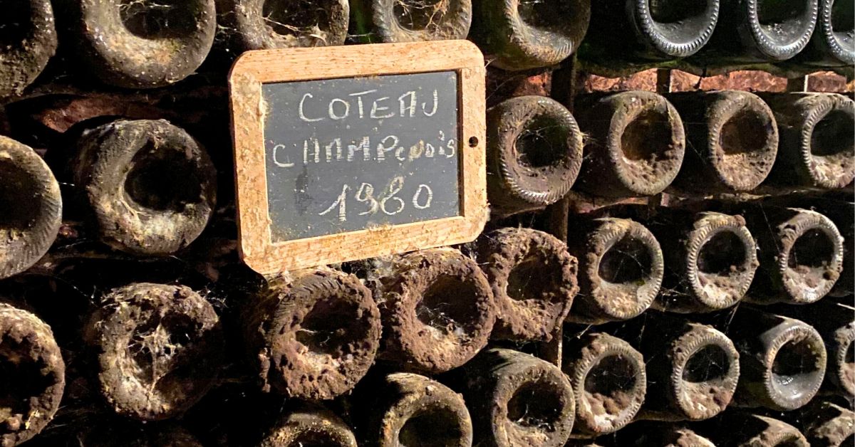 How Champagne is Made– Breaking Down the Intricacies of Méthode Champenoise